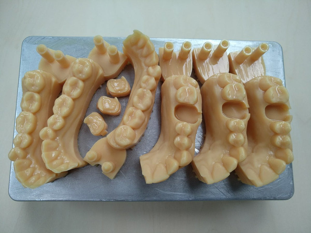 3D Print Dental Model Service Crown and Bridge