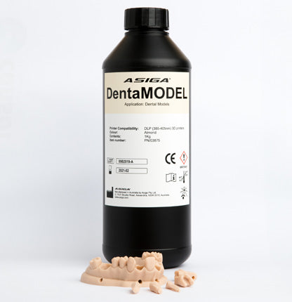 ASIGA DentaMODEL 1L
