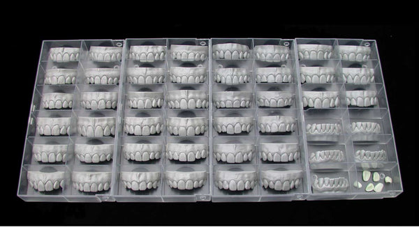 Tooth library add-on ZRS by Manfred Wiedmann